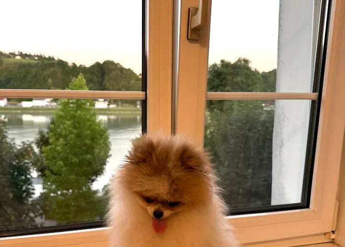 La Veneziana Aparthotel