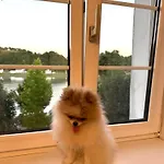 La Veneziana 公寓式酒店