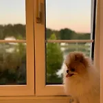 公寓式酒店 La Veneziana 多瑙河畔阿沙赫