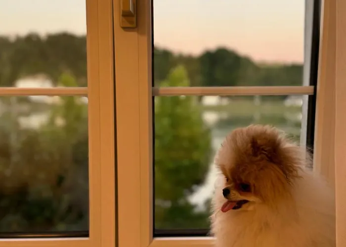 Ξενοδοχείο με διαμερίσματα La Veneziana Aschach an der Donau